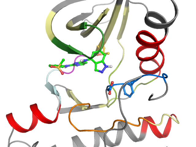 The orthosteric binding pocket