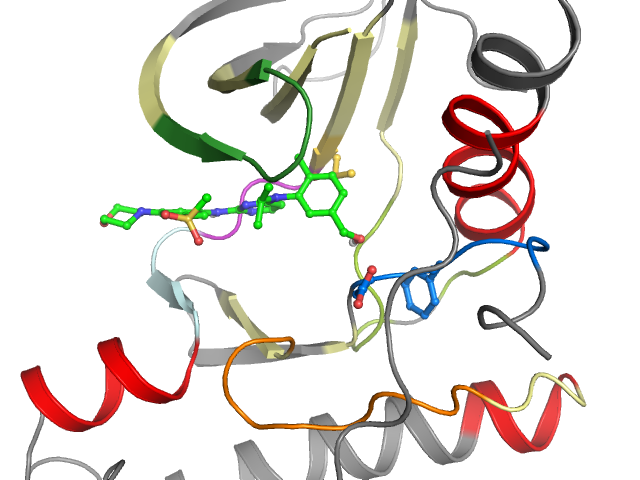 The orthosteric binding pocket