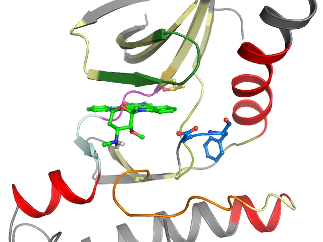 The orthosteric binding pocket