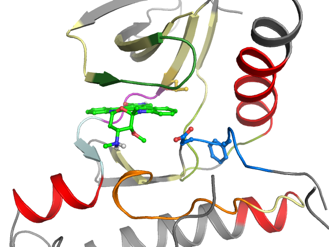 The orthosteric binding pocket