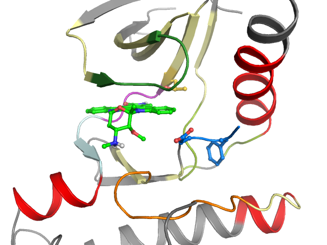 The orthosteric binding pocket