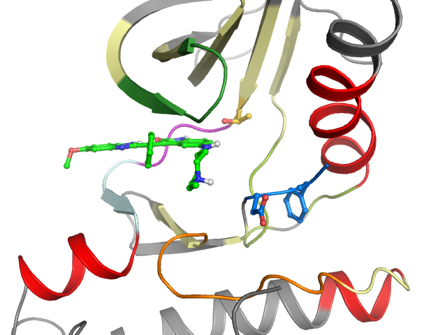 The orthosteric binding pocket