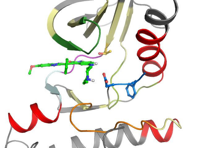 The orthosteric binding pocket