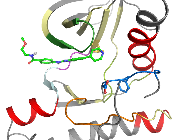 The orthosteric binding pocket
