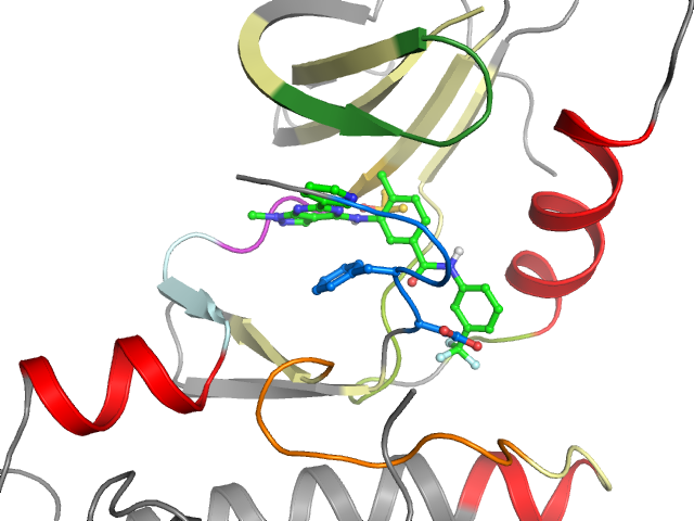 The orthosteric binding pocket