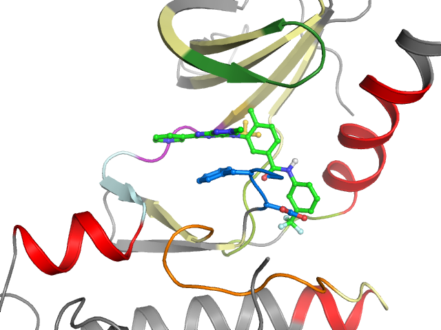 The orthosteric binding pocket