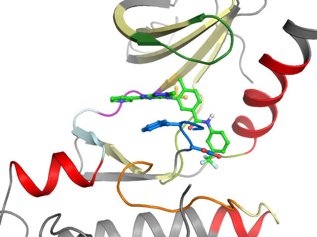 The orthosteric binding pocket