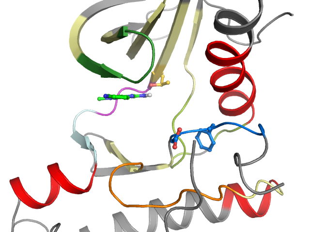 The orthosteric binding pocket