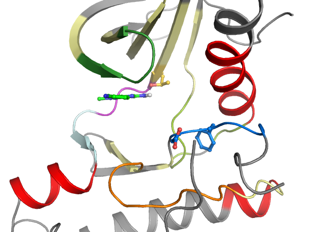 The orthosteric binding pocket