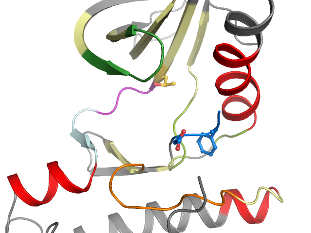 The orthosteric binding pocket