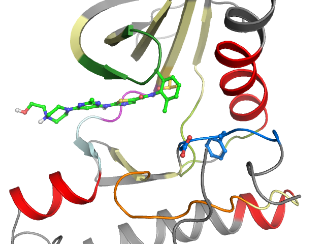 The orthosteric binding pocket
