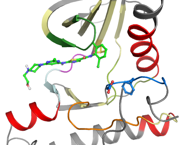 The orthosteric binding pocket