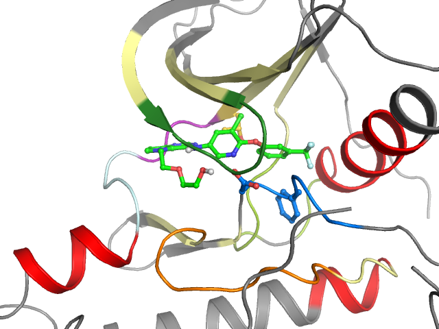 The orthosteric binding pocket