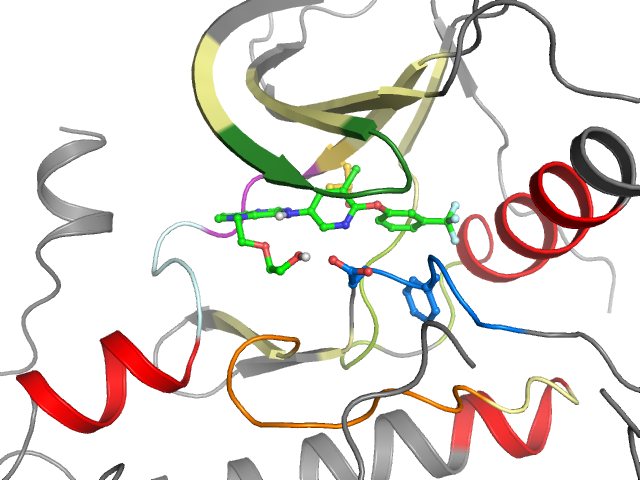 The orthosteric binding pocket