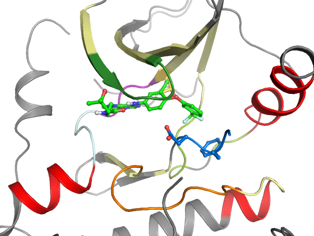 The orthosteric binding pocket