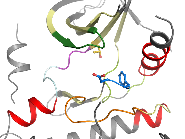 The orthosteric binding pocket