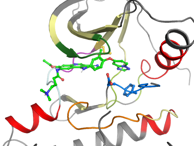 The orthosteric binding pocket