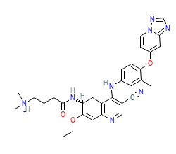 2D structure of the orthosteric ligand