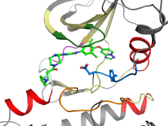 The orthosteric binding pocket