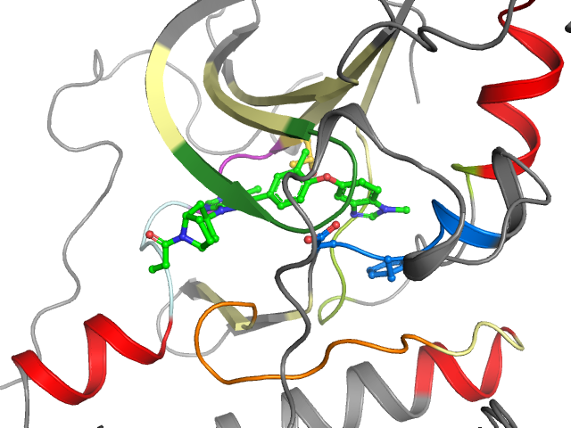 The orthosteric binding pocket