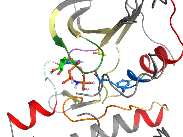 The orthosteric binding pocket