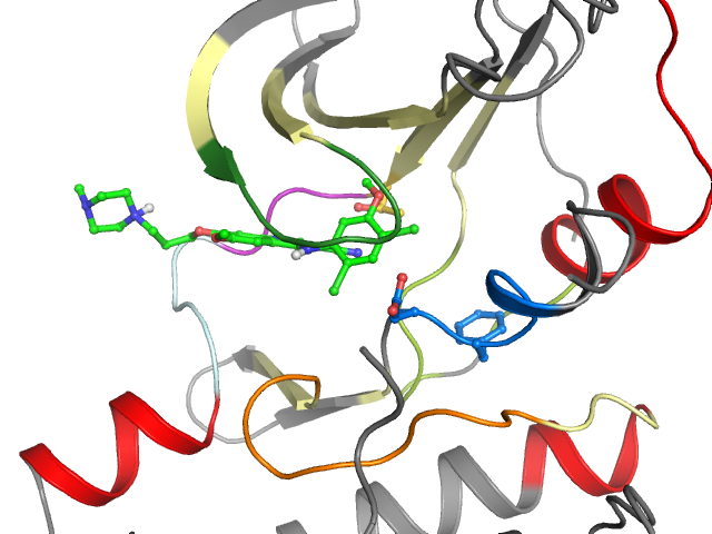 The orthosteric binding pocket