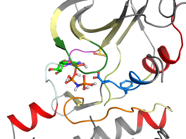The orthosteric binding pocket