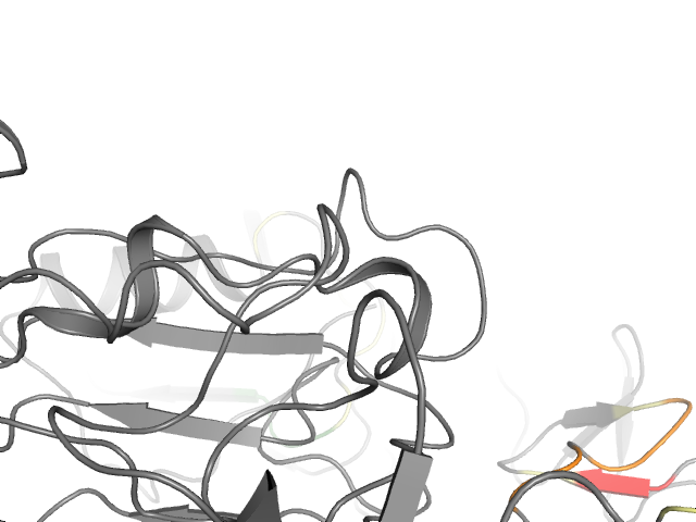 The orthosteric binding pocket