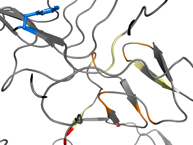 The orthosteric binding pocket