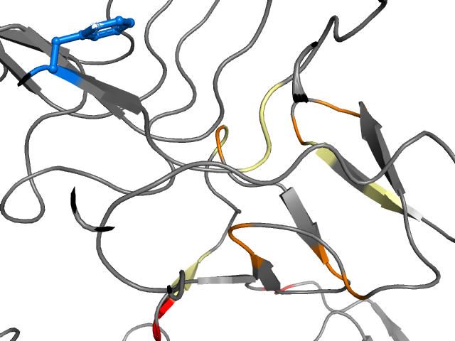 The orthosteric binding pocket