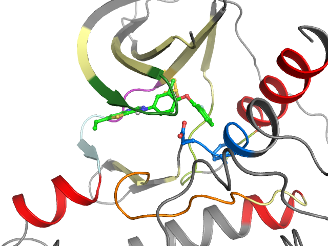 The orthosteric binding pocket