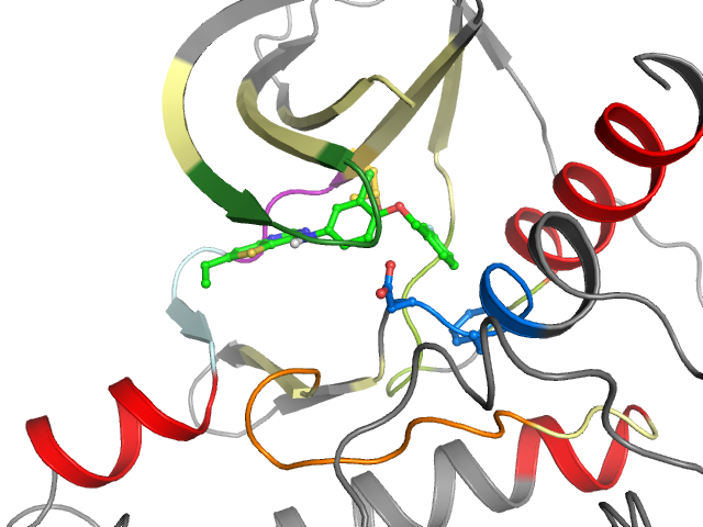 The orthosteric binding pocket