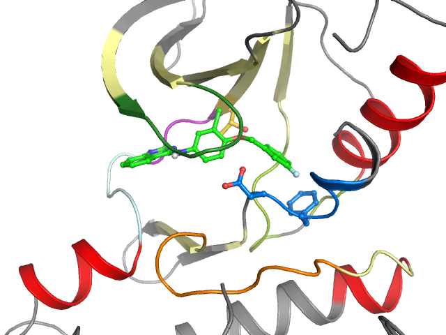 The orthosteric binding pocket