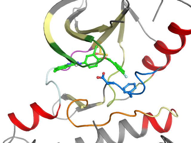 The orthosteric binding pocket