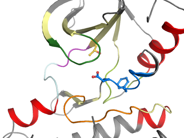 The orthosteric binding pocket