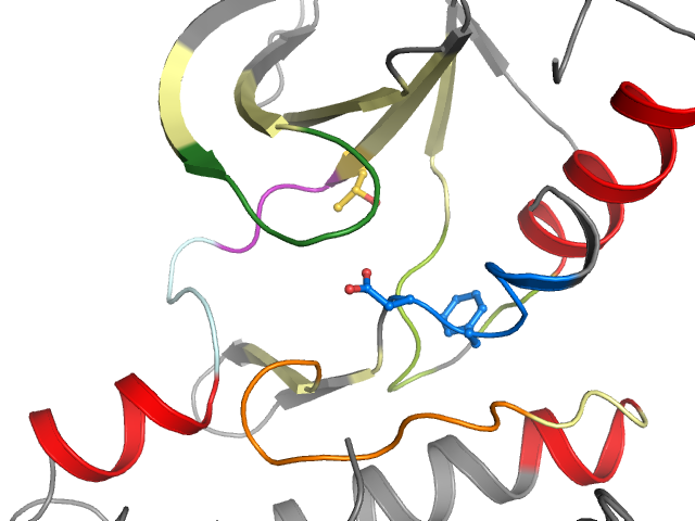 The orthosteric binding pocket