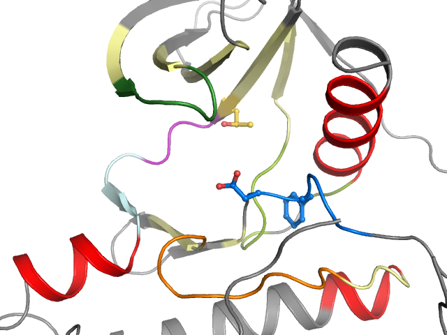 The orthosteric binding pocket