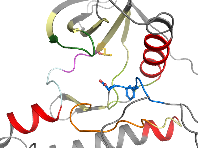 The orthosteric binding pocket