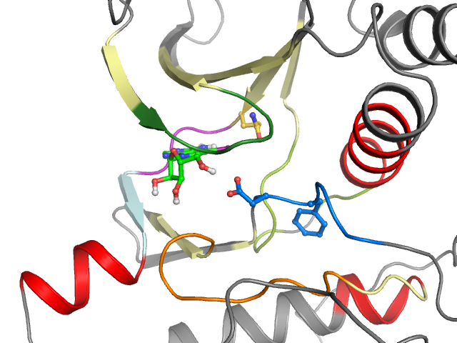 The orthosteric binding pocket