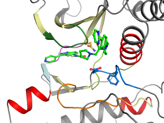The orthosteric binding pocket