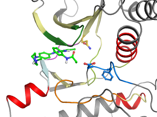 The orthosteric binding pocket