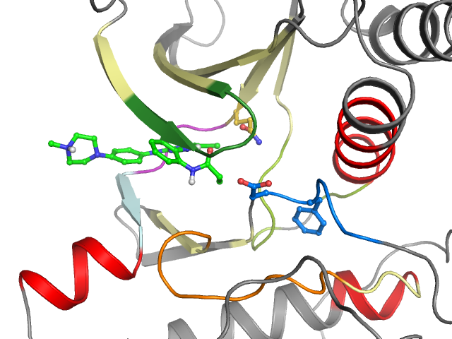 The orthosteric binding pocket