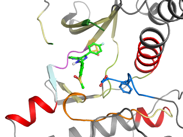 The orthosteric binding pocket