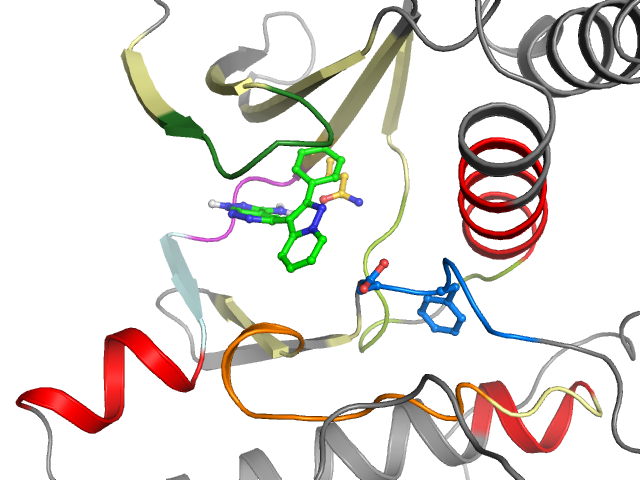 The orthosteric binding pocket