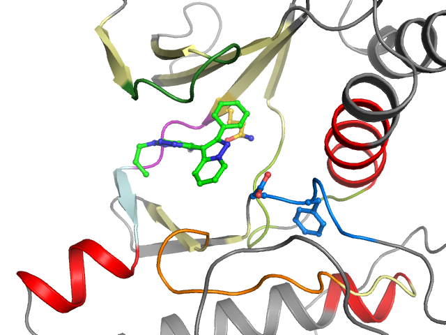 The orthosteric binding pocket