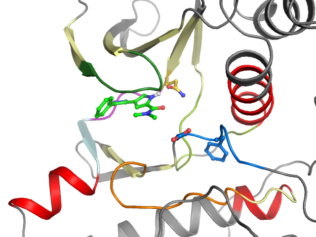 The orthosteric binding pocket