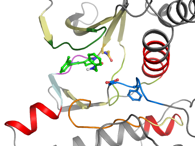 The orthosteric binding pocket