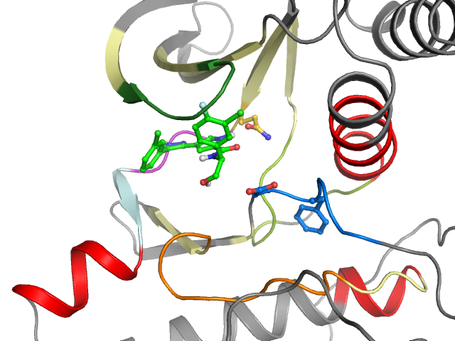 The orthosteric binding pocket