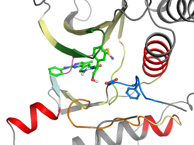 The orthosteric binding pocket