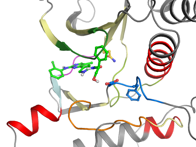 The orthosteric binding pocket